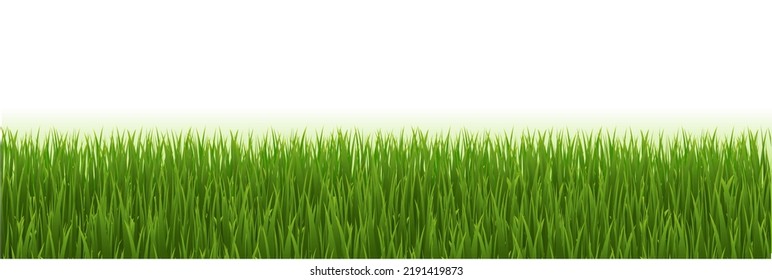 Marco De Grasa Verde Con Fondo Blanco Con Mash De Gradiente, Ilustración Vectorial