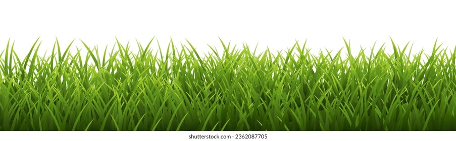 Green Grass Frame With White Background , Vector Illustration