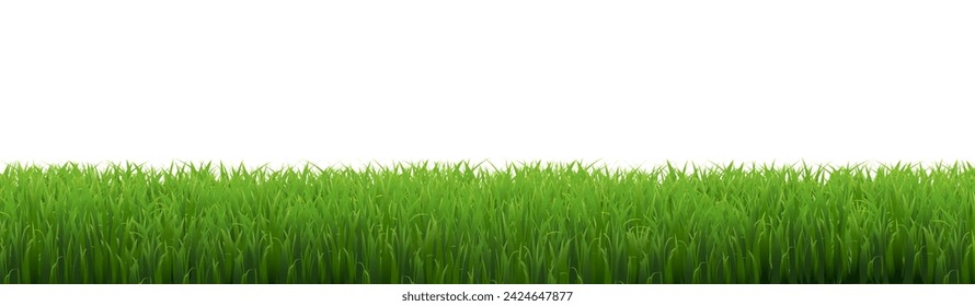 Green Grass Frame With White Background , Vector Illustration