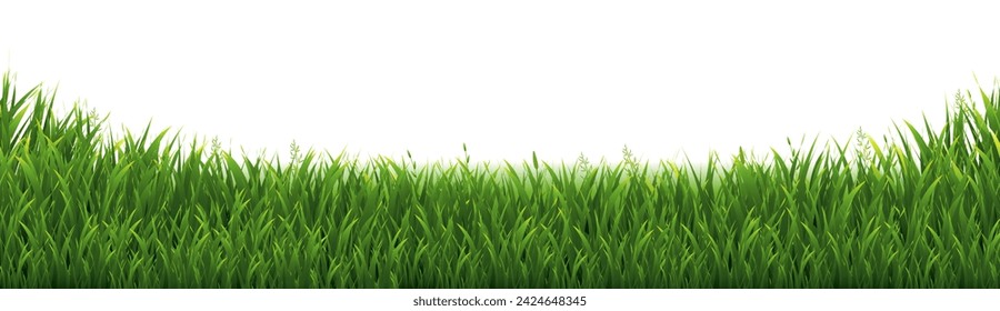 Green Grass Frame And White Background With Gradient Mesh, Vector Illustration