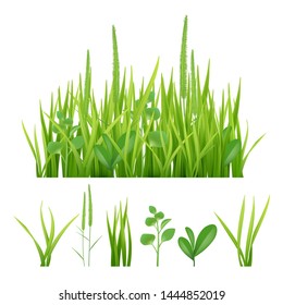 Green grass. Fresh garden elements nature vector pictures of herbs and leaves. Fresh growth grass, green nature environmental, weed botanical environment illustration