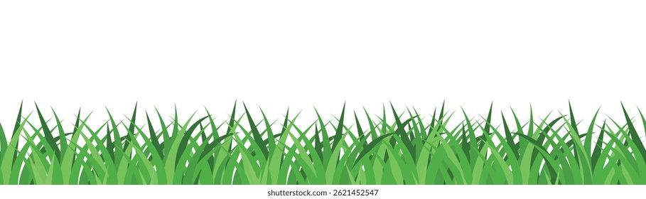 Green grass and fresh spring meadow. Summer lawn with plants. Vector illustration of natural glade isolated on white background. Suitable for eco, garden, or seasonal design.
