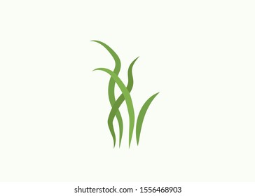 Green grass. Gazon. Vector icon. web version.