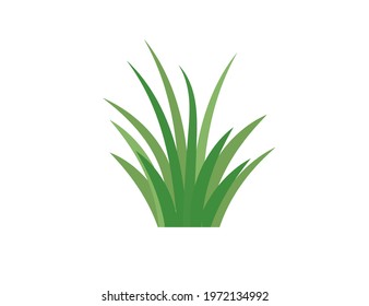 Green grass. Gazon. Vector icon. web version.