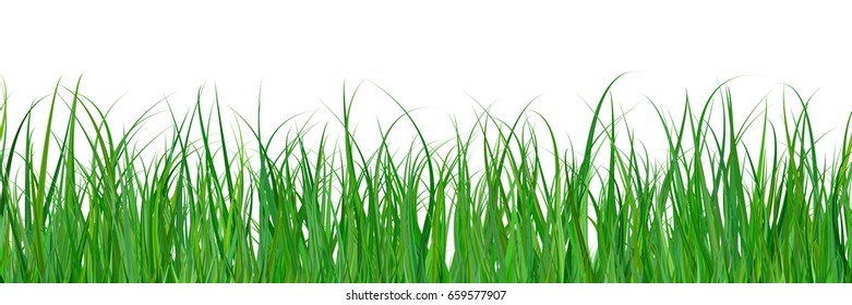 Green Grass Gradient Texture Isolated On Stock Vector (Royalty Free ...