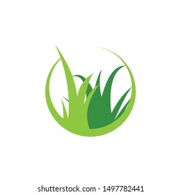 Green grass graphic design template vector isolated