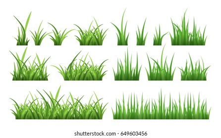 Green Grass Grassland Lawn Borders Summer Stock Vector (Royalty Free ...