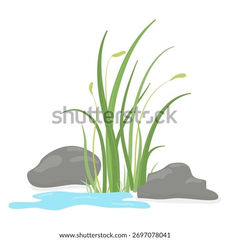 green grass growing beside rocks and a small water puddle, creating a peaceful natural scene with soft colors.