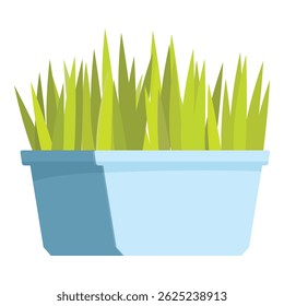 Grama verde crescendo em plantador azul, trazendo a natureza para dentro