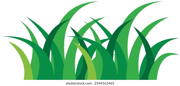 Green Grass Growing Element. Green Grass Isolated on White Background