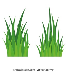 Hierba verde que crece aislada en el fondo blanco