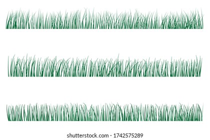Green grass growing narrow leaves
