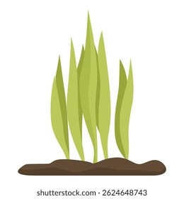 Green grass growing in soil representing new life and spring season