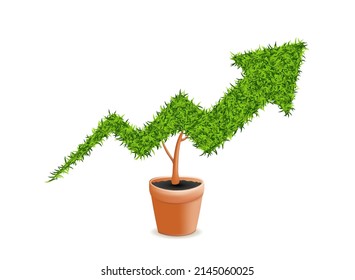 Green Grass Growth Chart in Flower Pot on White Background. Three Bars of Grass with Arrow 3D Vector Illustration