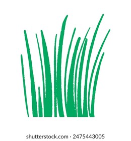 Green grass hand drawn with a brush on an isolated background. 