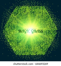 Green Grass Hexagon Banner with Magic Lights. Nature Space. Vector illustration