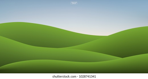 Green grass hill and sunset sky background. Outdoor natural background for template design. Vector illustration.