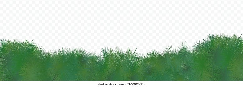 Green grass horizontal border on transparent background spring vector template. Abstract shrub composition for eco decorative design. Organic greenery illustration frame, grassy cover, fresh backdrop