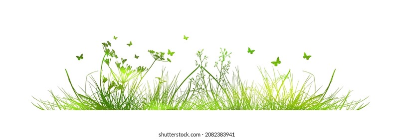 Green grass. The horizontal line of the grass. Summer meadow with flowers and butterflies. Vector illustration