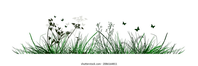 hierba verde. La línea horizontal de la hierba. Pradera de verano con flores y mariposas. Ilustración del vector