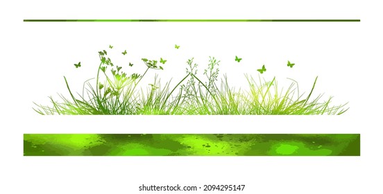 Green grass. The horizontal line of the grass. Summer meadow with flowers and butterflies. Vector illustration