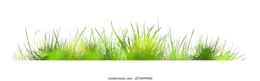 Grünes Gras. Die horizontale Linie des Grases. Vektorgrafik