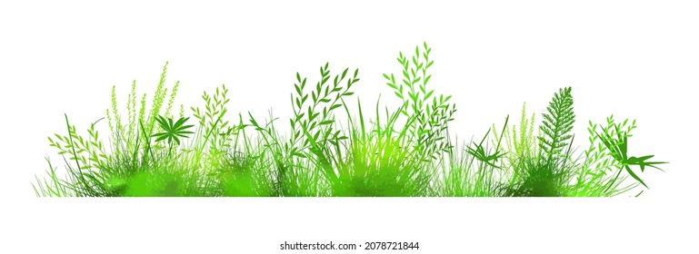 Green grass. The horizontal line of the grass. Vector illustration - Shutterstock ID 2078721844