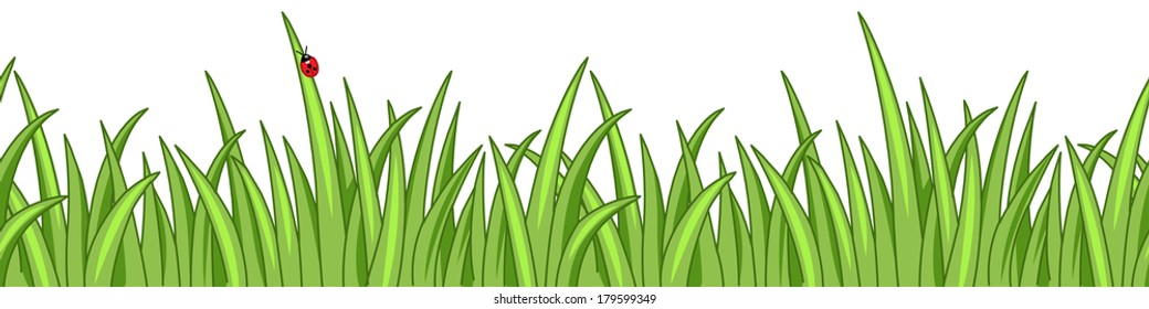 Green grass horizontal seamless pattern isolated on white