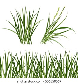 hierba verde, patrón horizontal sin fisuras. La ilustración de Bush grass.Vector.