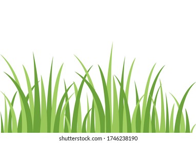 Gras. Grafikvorlage. Hintergrund