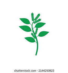 green grass icon set, green grass vector set sign symbol