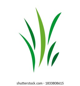 Green grass, icon. Vector illustration