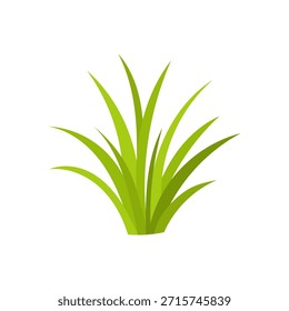 Ilustração de grama verde em estilo de vetor plano mostrando o crescimento da natureza fresca, elemento de grama para conceitos de ecologia, projeto de jardinagem, decoração de gramado, grama isolada no branco