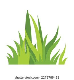 Green grass Illustration. Green lawn, flower, natural borders, herbs. Flat vector illustrations for spring, summer, nature, ground, plants concept.