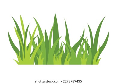 Green grass Illustration. Green lawn, flower, natural borders, herbs. Flat vector illustrations for spring, summer, nature, ground, plants concept.