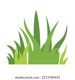 Green grass Illustration. Green lawn, flower, natural borders, herbs. Flat vector illustrations for spring, summer, nature, ground, plants concept.