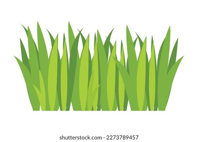 Green grass Illustration. Green lawn, flower, natural borders, herbs. Flat vector illustrations for spring, summer, nature, ground, plants concept.
