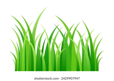 Green grass, illustration of a short strip of fresh spring grass blades. Front view of chlorophyll green stalks in a row, and a piece of lawn. Isolated on white background. Vector.