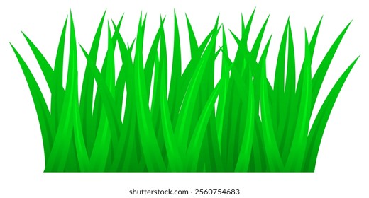 Green grass illustration, suitable for nature, summer and spring.