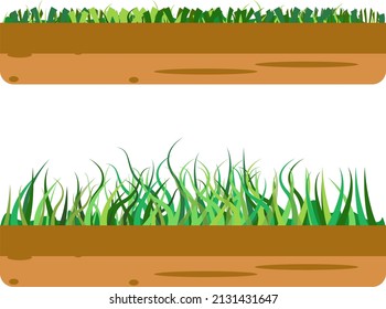 Green grass, illustration, vector on a white background.