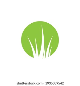 Diseño vectorial de ilustraciones de césped verde