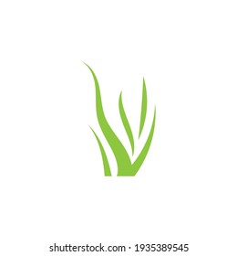 Green grass ilustration vector design
