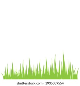 Green grass ilustration vector design