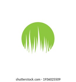 Green grass ilustration vector design
