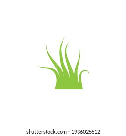 Green grass ilustration vector design