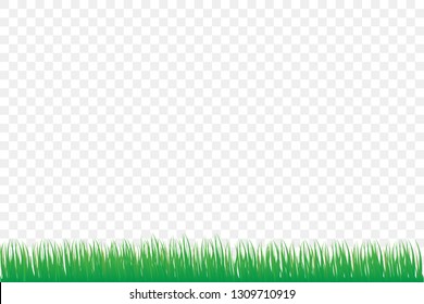 green grass isolate on white background