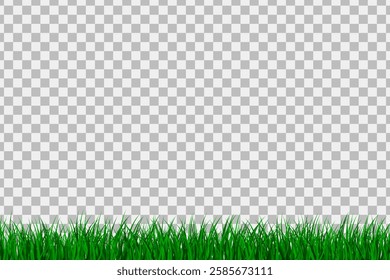 Green grass isolated background. Vector Illustration.