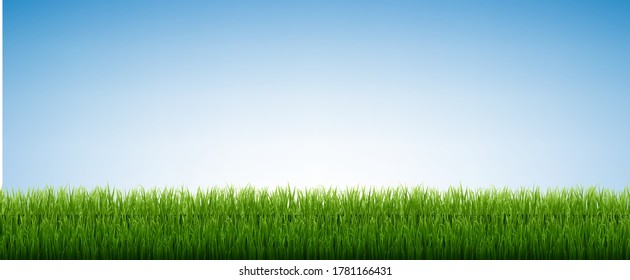 Green Grass Isolated Blue Sky Background With Gradient Mesh, Vector Illustration