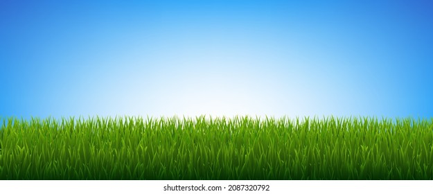 Grasa Verde Aislada Cielo Azul Con Malla Gradiente, Ilustración Vectorial.