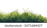 Green grass isolated flat design graphic illustrated on white background. Grass bushes side view object template.